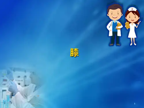 (医学课件)人体运动学(膝)
