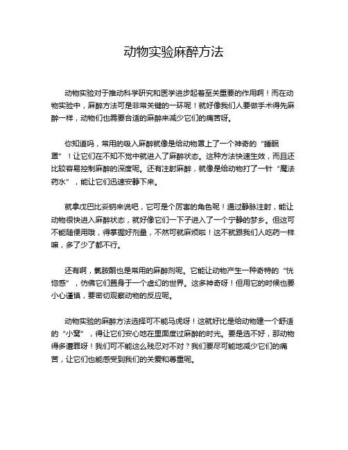 动物实验麻醉方法