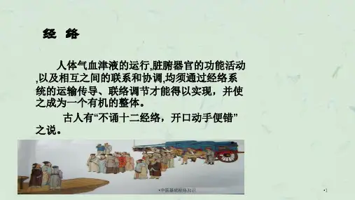 中医基础经络知识课件