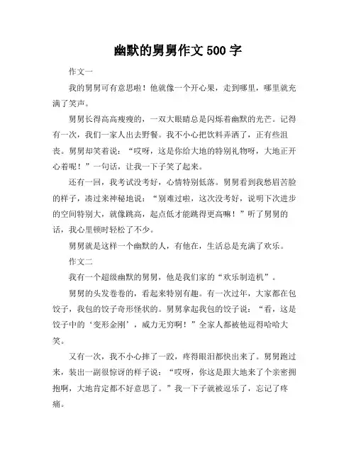 幽默的舅舅作文500字