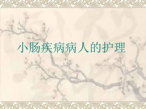 小肠疾病病人的护理 PPT课件