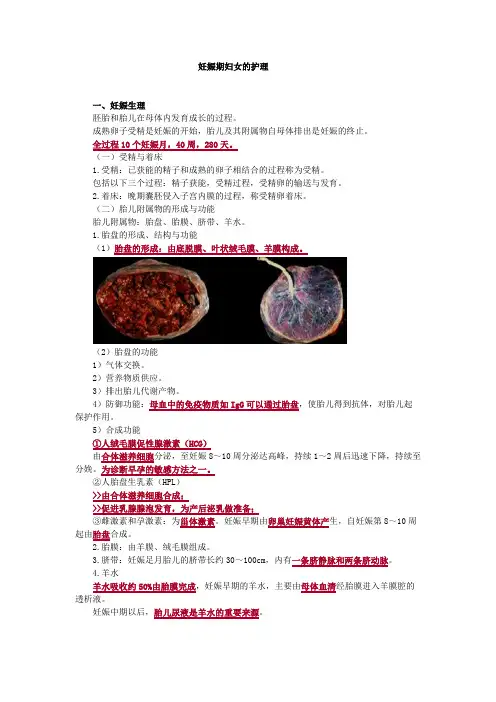 妇产科护理学-妊娠期妇女的护理考点汇总