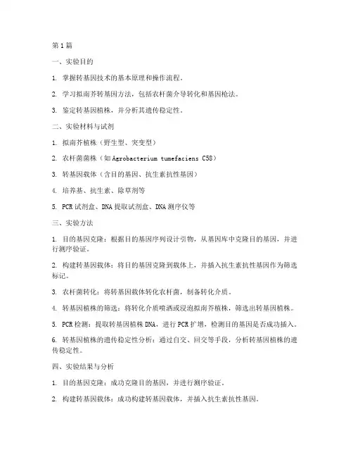 转基因拟南芥实验报告(3篇)