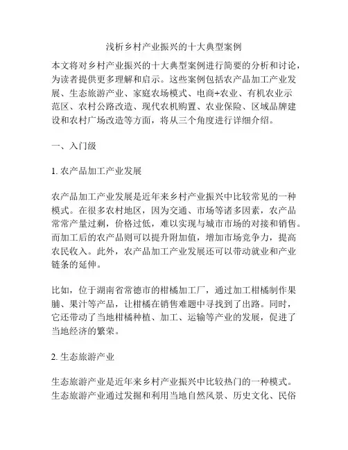 浅析乡村产业振兴的十大典型案例
