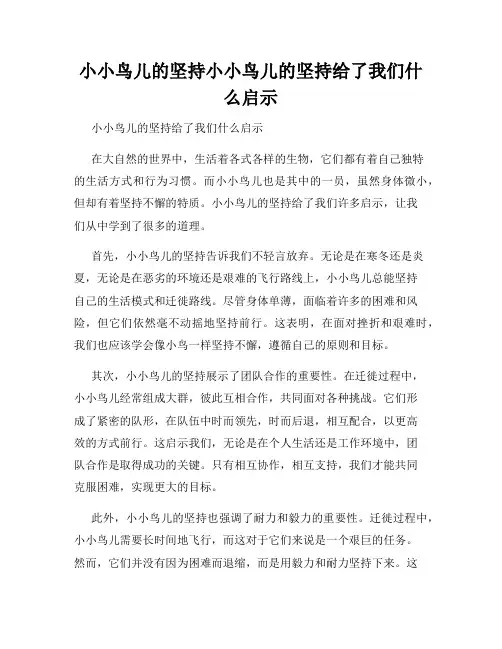 小小鸟儿的坚持小小鸟儿的坚持给了我们什么启示