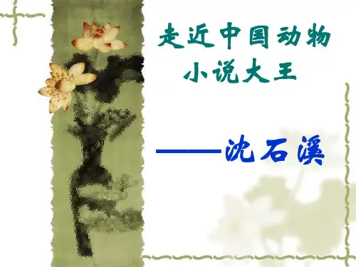中国动物小说大王沈石溪