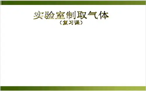 中考化学复习课_实验室制取气体 课件(17张PPT)