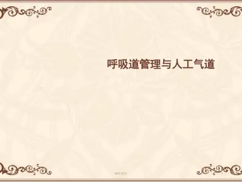 呼吸道管理与人工气道  ppt课件