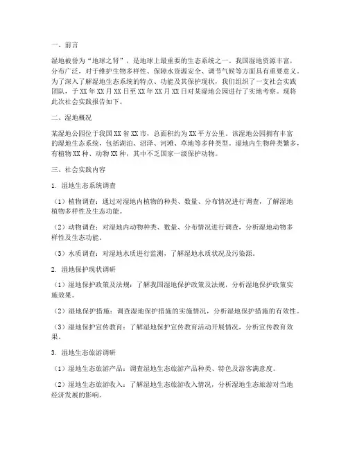 湿地社会实践报告