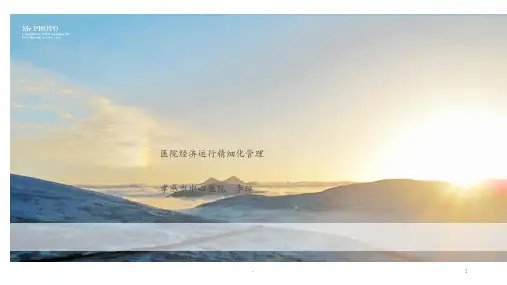 医院运行精细化管理ppt课件