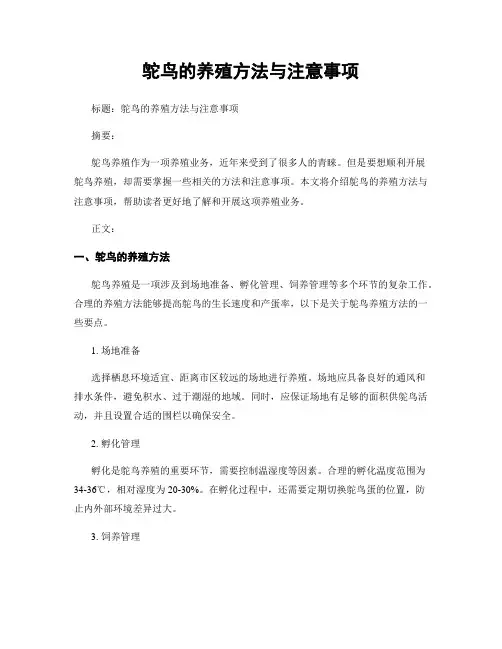 鸵鸟的养殖方法与注意事项