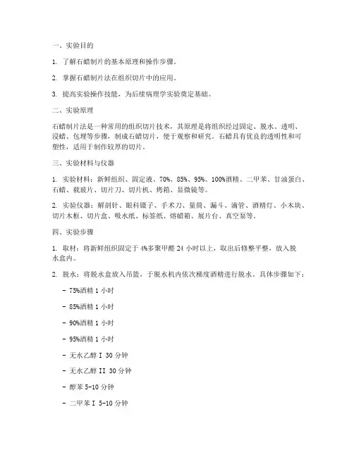 石蜡制片法实验报告