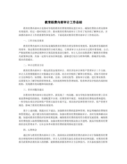 教育经费内部审计工作总结