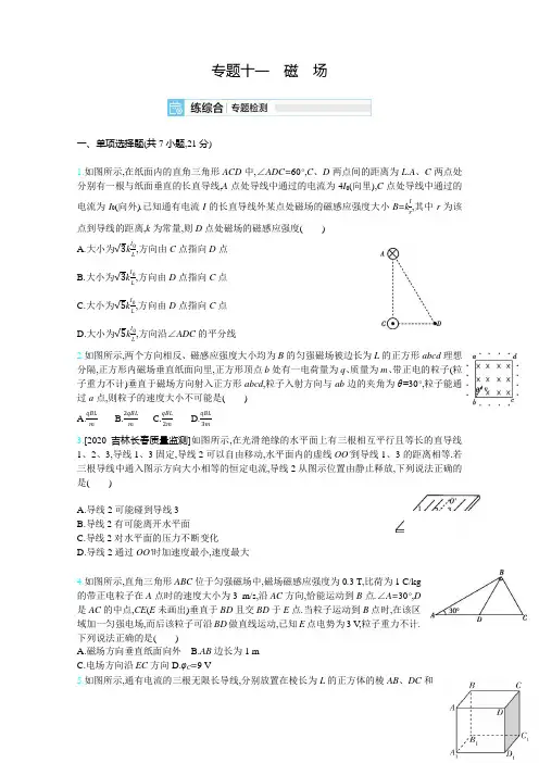 2021高考物理(新高考版)一轮复习考点考法精练：专题十一 磁 场   (3)