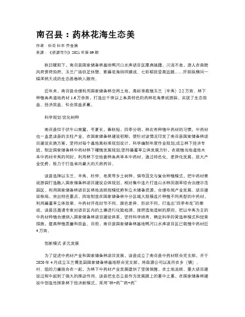 南召县：药林花海生态美