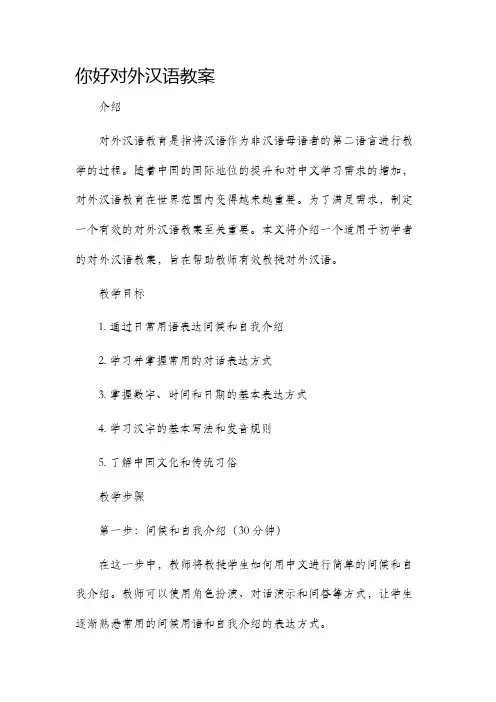 你好对外汉语教案