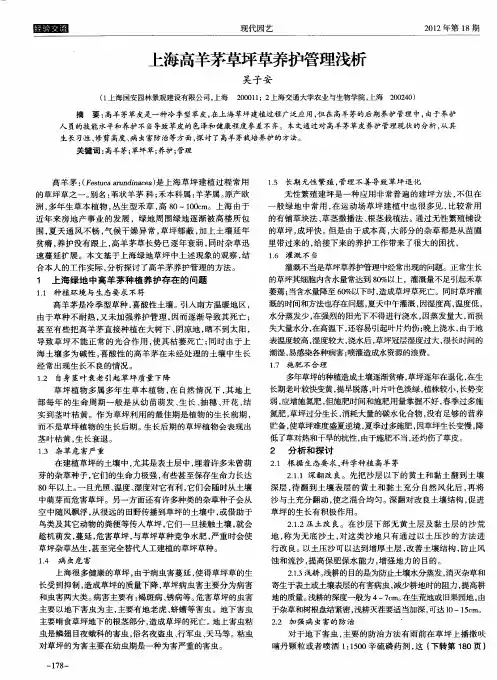 上海高羊茅草坪草养护管理浅析