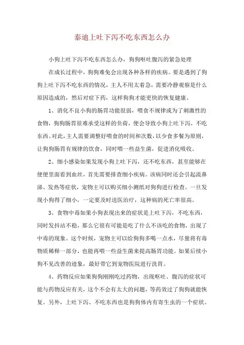泰迪上吐下泻不吃东西怎么办