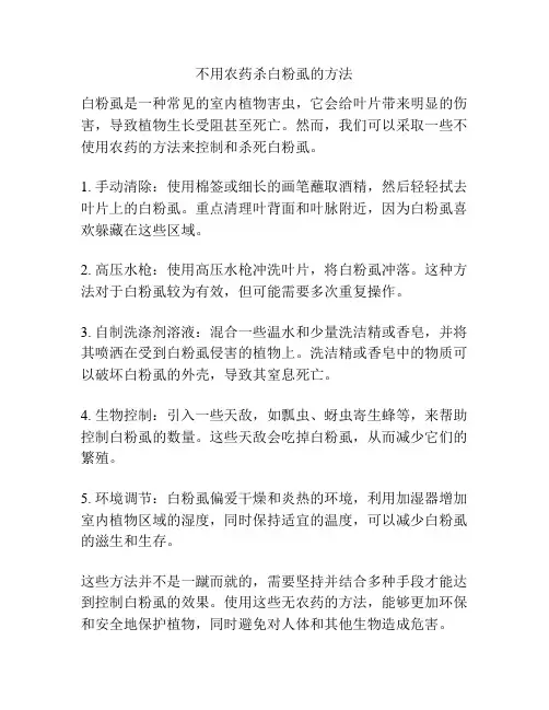 不用农药杀白粉虱的方法