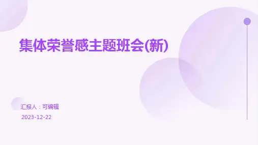 集体荣誉感主题班会(新)