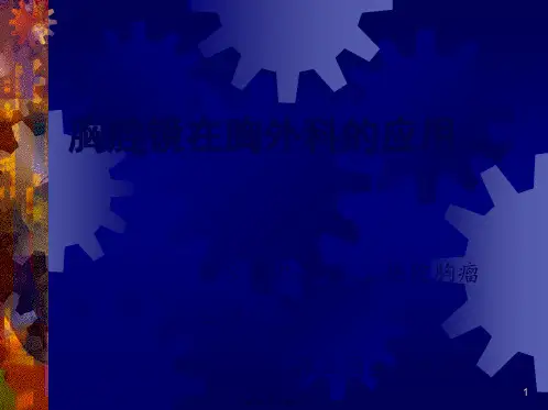 医学专题张立国胸腔镜在胸外科的应用ppt