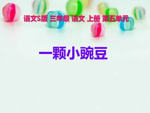 《一颗小豌豆》课件PPT