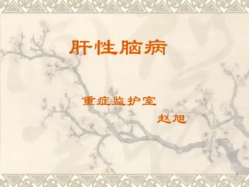 肝性脑病病人的护理内科护理学PPT课件