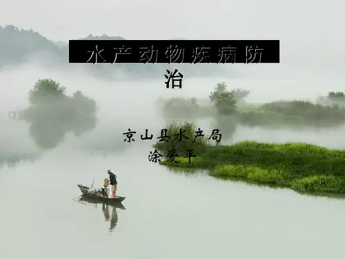 水产动物疾病防治PPT(共108页)