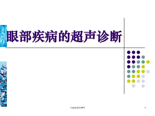 眼部疾病的超声诊断PPT课件