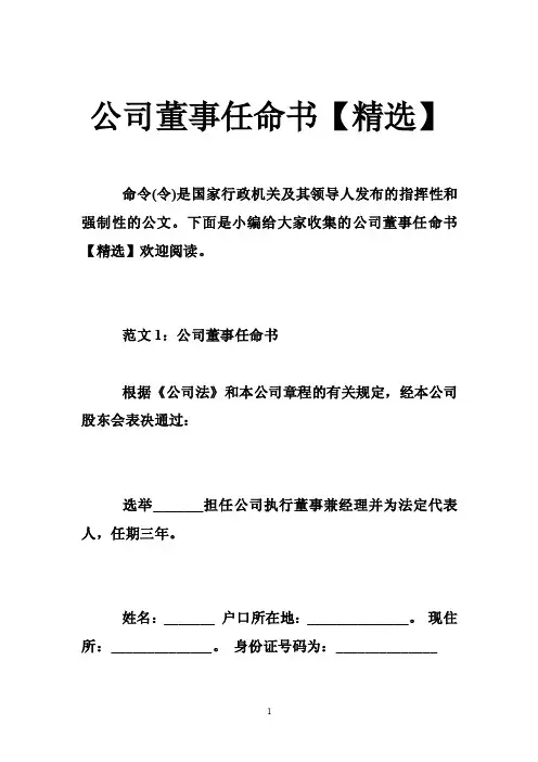 公司董事任命书【精选】