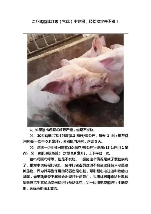 治疗猪腹式呼吸（气喘）小妙招，轻松搞定并不难！