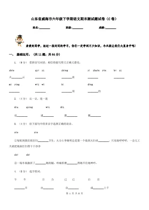 山东省威海市六年级下学期语文期末测试题试卷(C卷)