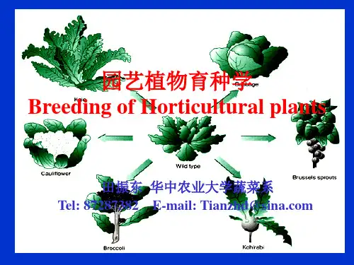 06第六章 杂交育种