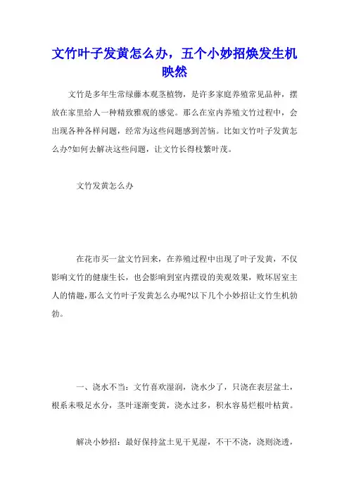 文竹叶子发黄怎么办,五个小妙招焕发生机映然