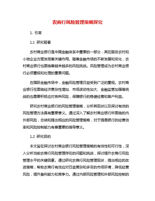 农商行风险管理策略探究