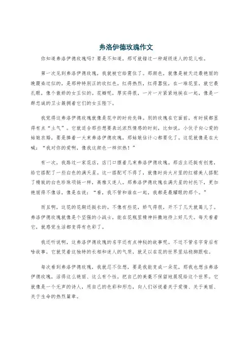 弗洛伊德玫瑰作文