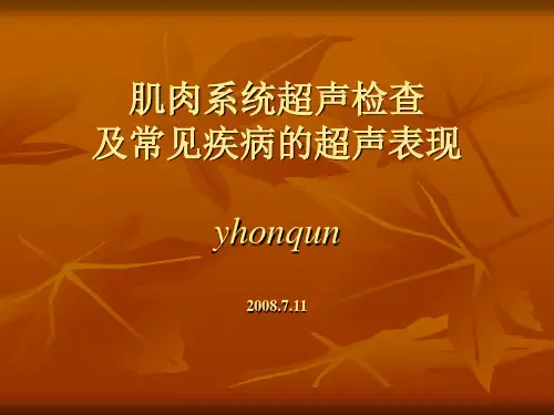 肌肉系统超声检查及常见疾病的超声表现