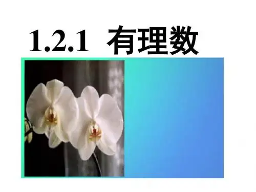 2019年年秋人教版数学七年级上册课件：121 有理数 共14张PPT语文