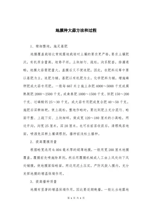 地膜种大蒜方法和过程