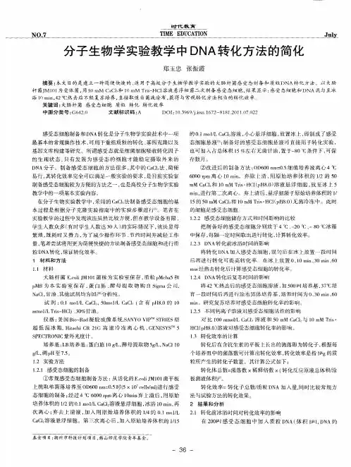 分子生物学实验教学中DNA转化方法的简化