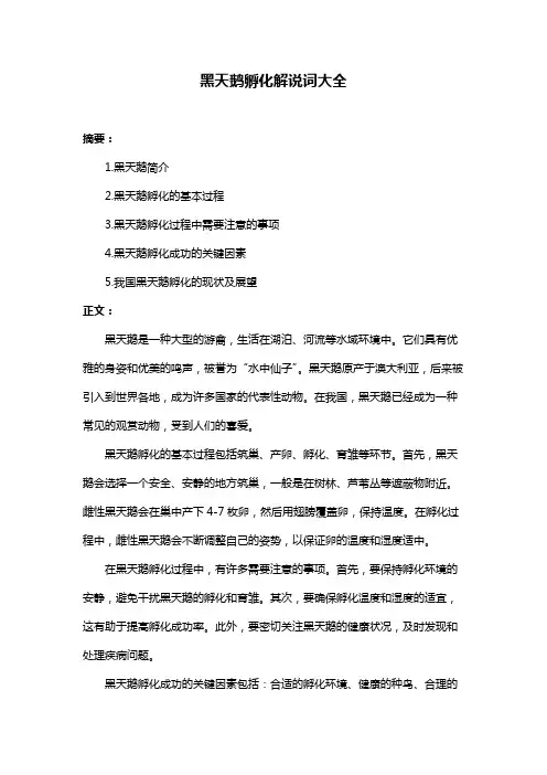 黑天鹅孵化解说词大全