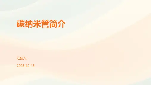 碳纳米管简介