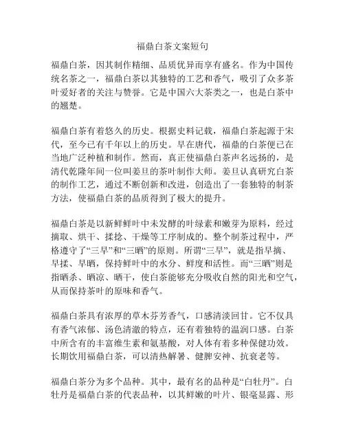 福鼎白茶文案短句