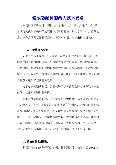 猪成功配种的两大技术要点