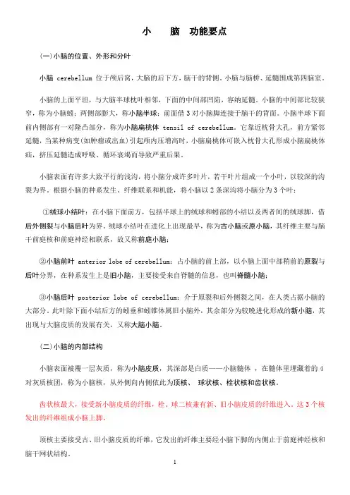 小脑功能要点