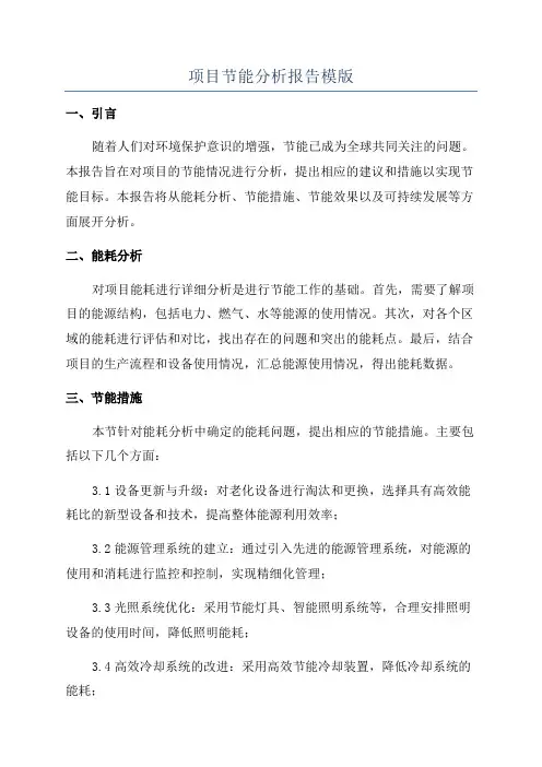 项目节能分析报告模版