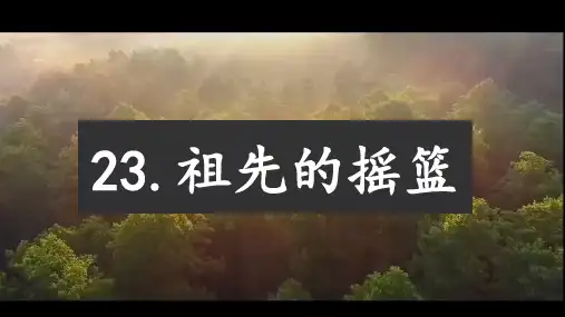 23祖先的摇篮课件(共29张PPT)