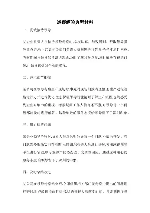 巡察经验典型材料