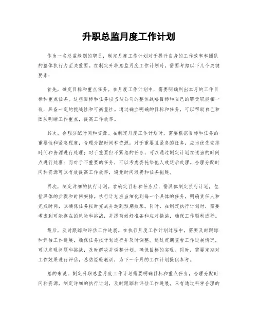升职总监月度工作计划