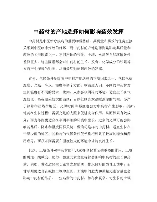 中药材的产地选择如何影响药效发挥